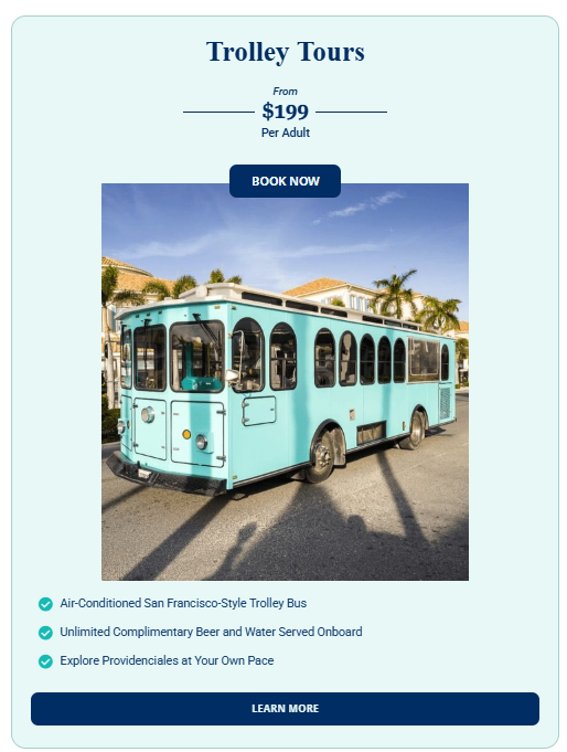 turkstourcompany.com